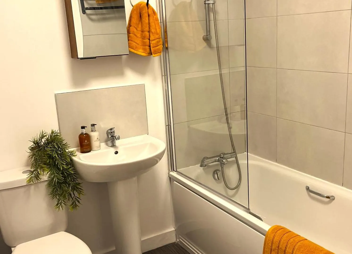 Belfast View Apartment